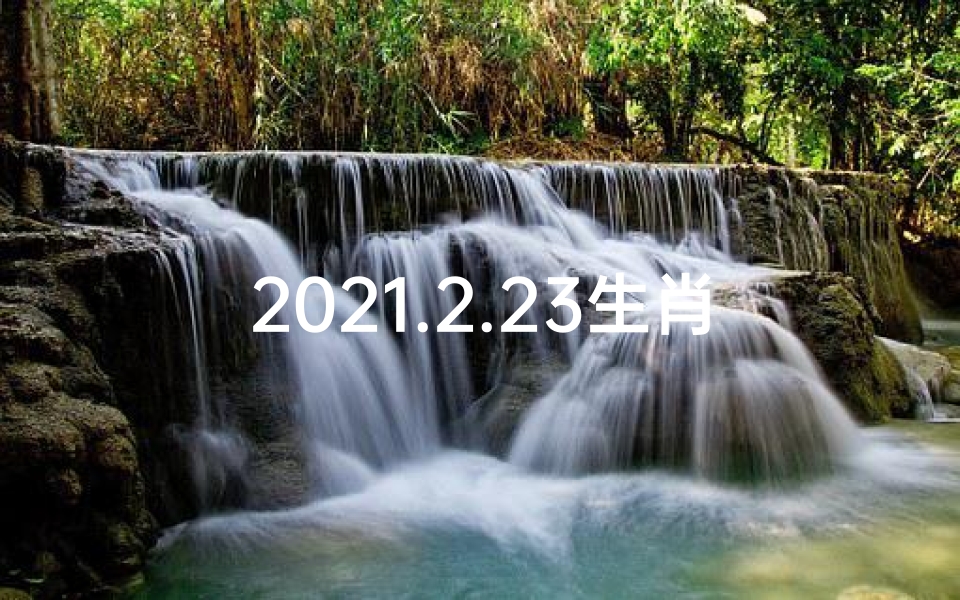 2021.2.23生肖运势、《2023年2月6日生肖运势揭秘:运势吉凶一览》