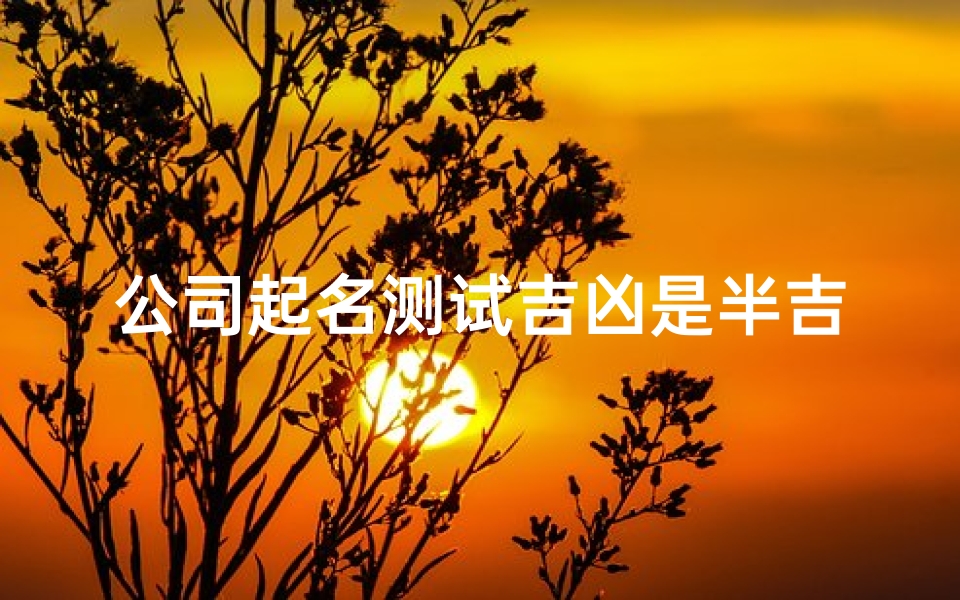 公司起名测试吉凶是半吉可以用吗—公司测名吉凶查询1518