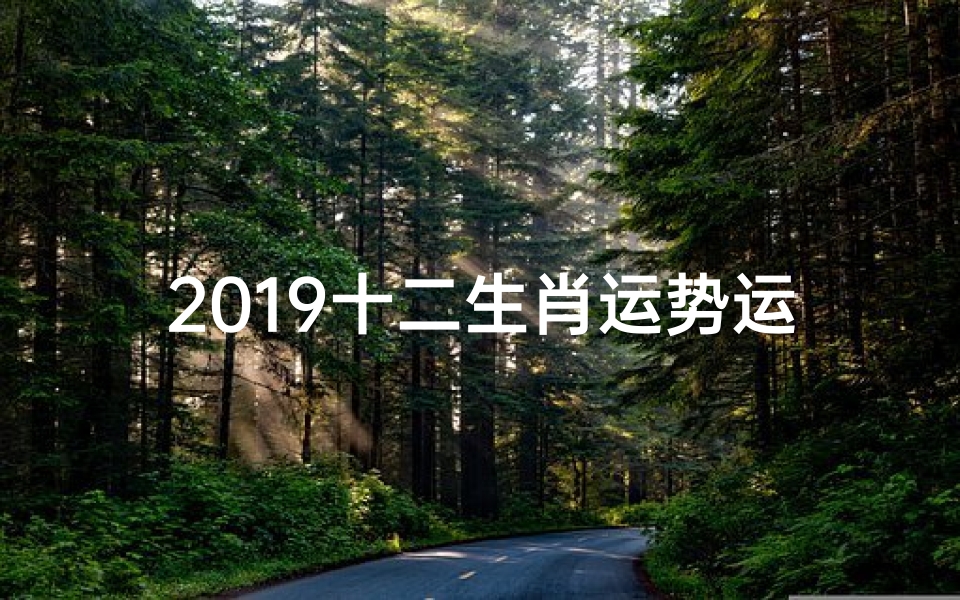 2019十二生肖运势运程