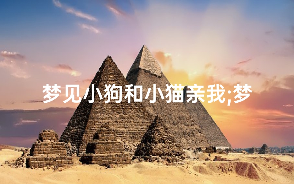 梦见小狗和小猫亲我;梦见猫咪和狗亲近自己