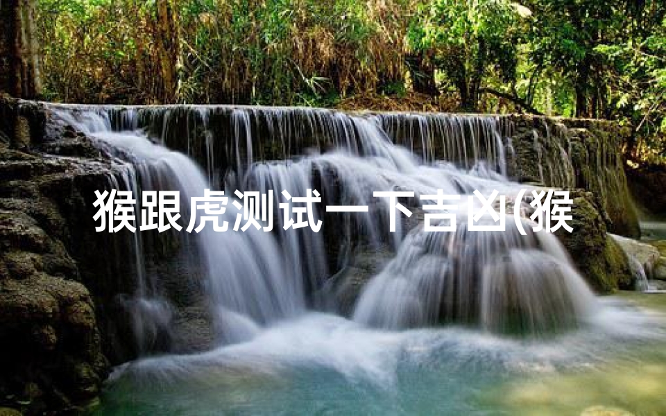 猴跟虎测试一下吉凶(猴和虎相配婚姻如何92男猴和98女虎相配吗)