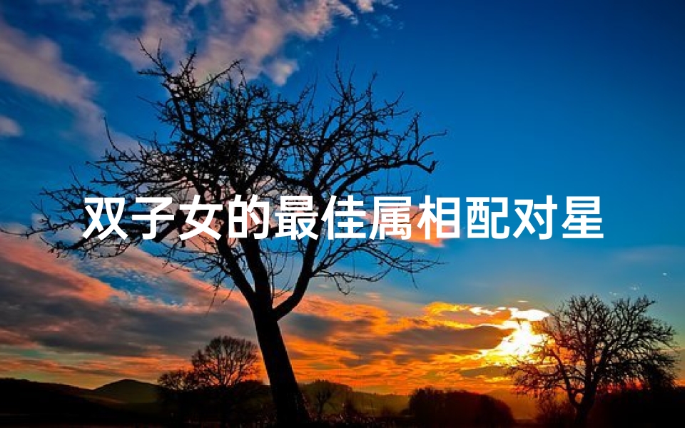 双子女的最佳属相配对星座(十二星座配对表最佳)
