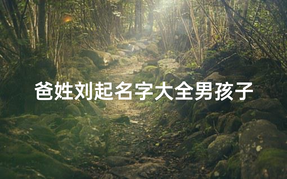 爸姓刘起名字大全男孩子(爸爸姓刘妈妈姓刘男宝宝取什么名字好听)