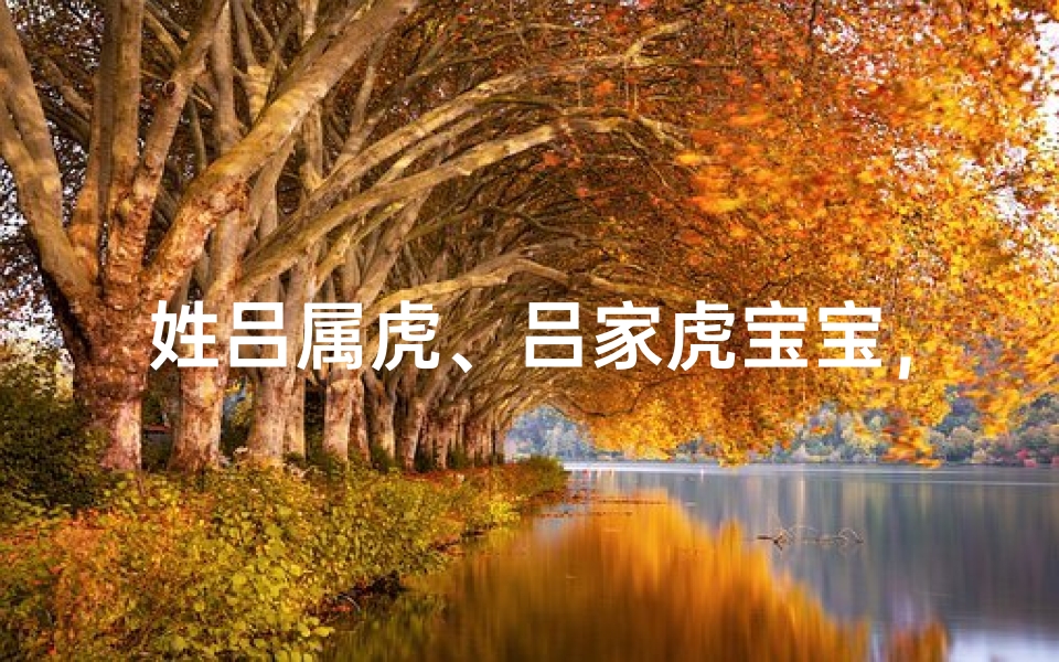姓吕属虎、吕家虎宝宝,喜庆迎新春,吉祥好名字