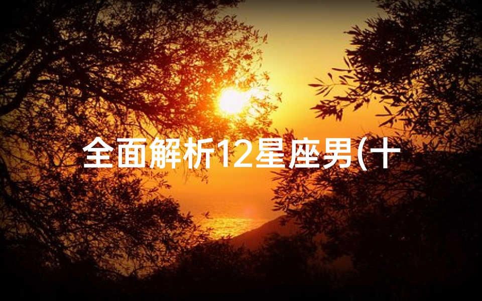 全面解析12星座男(十二星座解析最全版,十二星座解析)