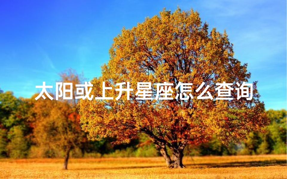 太阳或上升星座怎么查询(...月亮上升星座,太阳星座月亮星座上升星座如何查询)