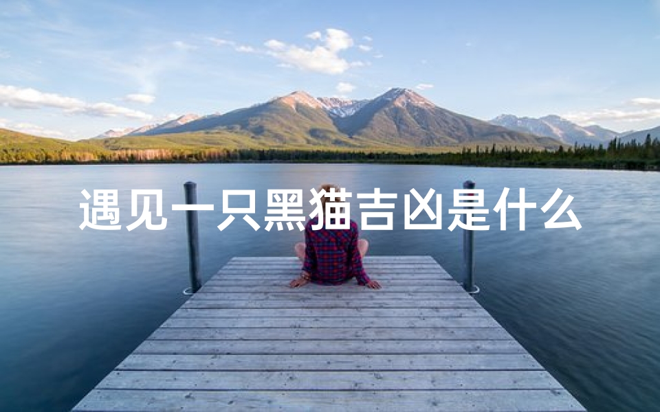 遇见一只黑猫吉凶是什么,《神秘黑猫现世:吉凶未卜,命运如何?》