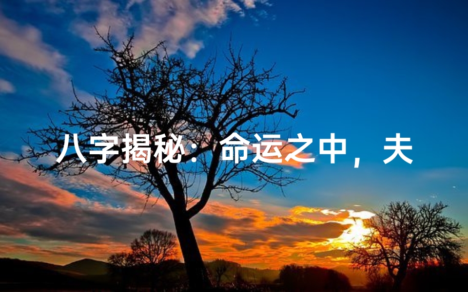 八字揭秘:命运之中,夫妻命理有何玄机?