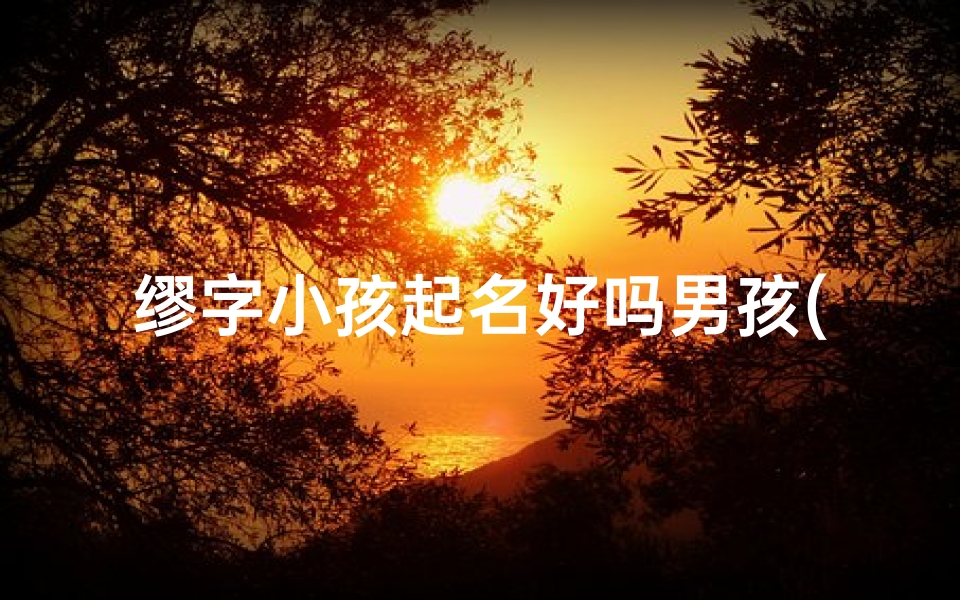 缪字小孩起名好吗男孩(《缪字男孩:传承经典,智慧成长》)