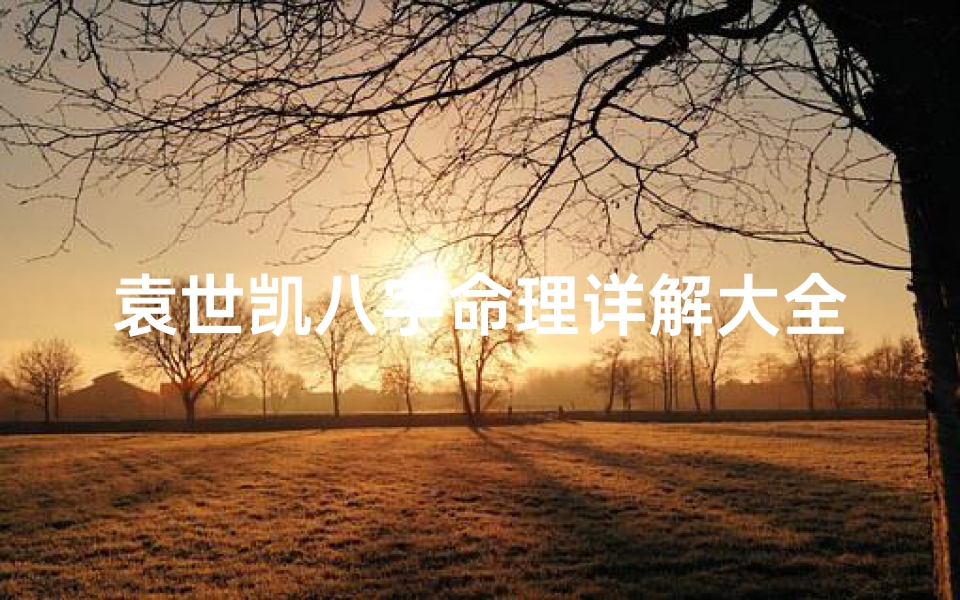 袁世凯八字命理详解大全图(金榜题名的祝福语八字)
