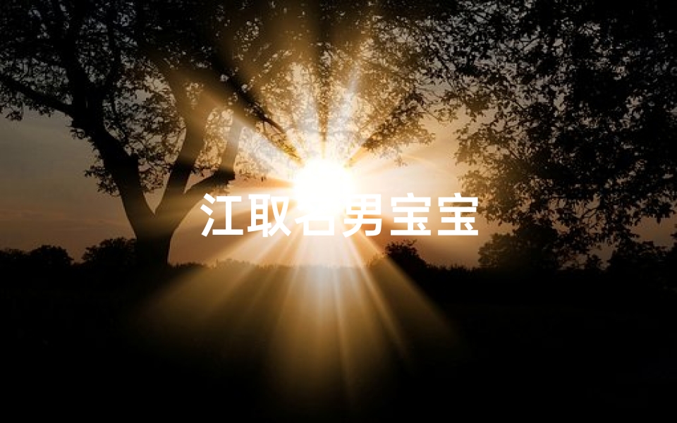 江取名男宝宝
