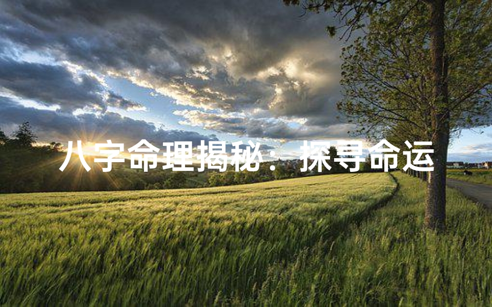 八字命理揭秘:探寻命运之谜的八字奥秘
