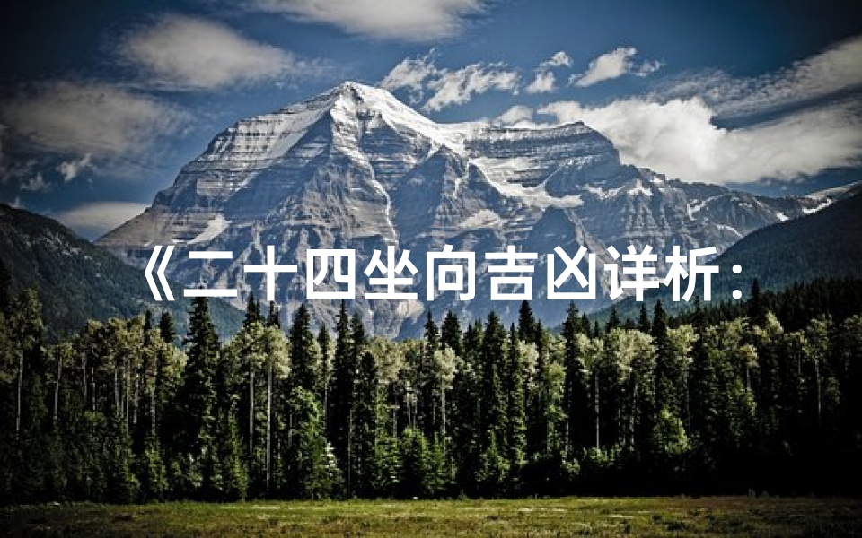 《二十四坐向吉凶详析:家居风水秘籍》