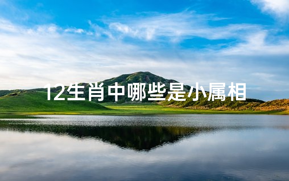 12生肖中哪些是小属相(十二生肖哪些是大肖分小肖)