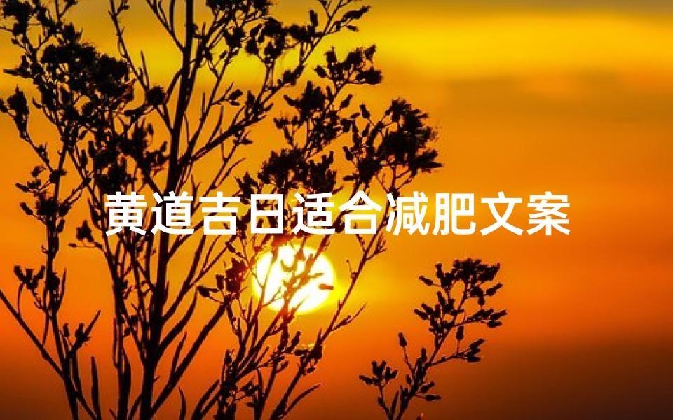 黄道吉日适合减肥文案