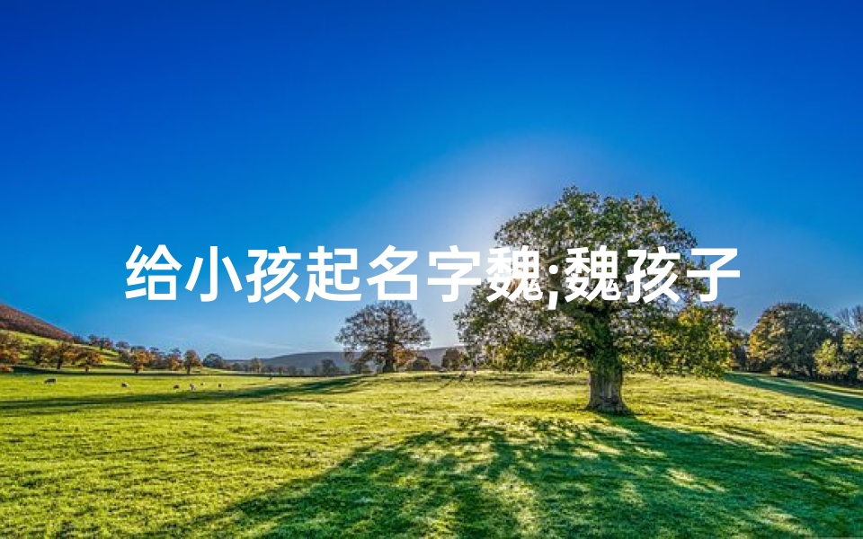 给小孩起名字魏;魏孩子名字