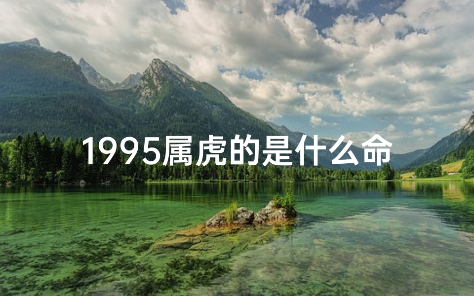 1995属虎的是什么命,1995年属虎运势揭秘:财运亨通,事业腾飞