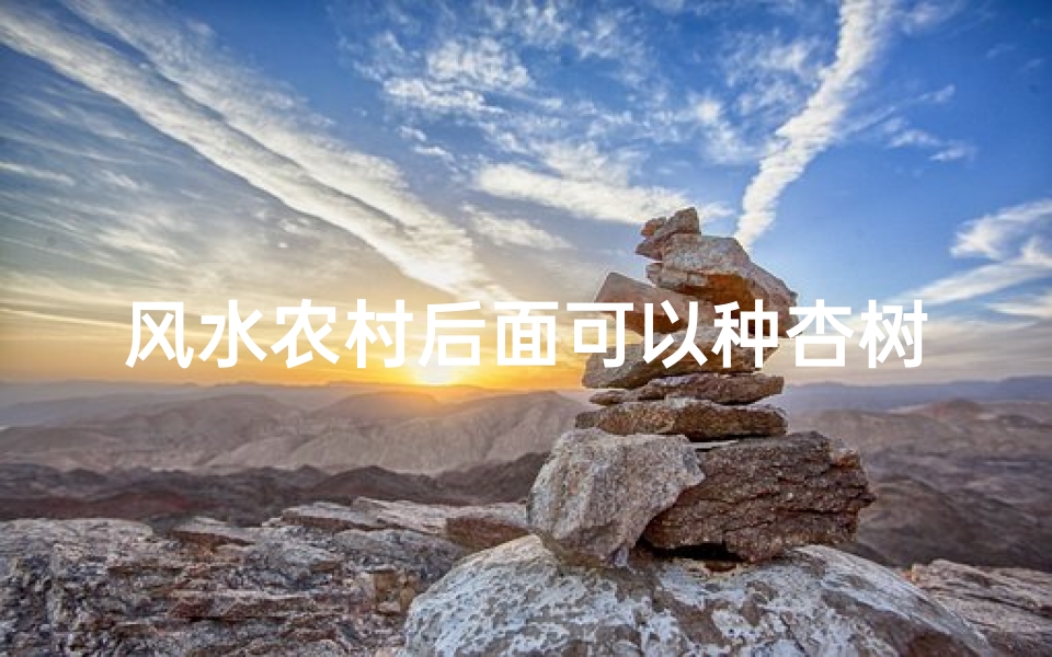 风水农村后面可以种杏树吗