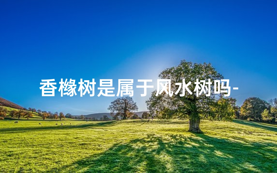 香橼树是属于风水树吗-香橼树:风水树中的神秘之树