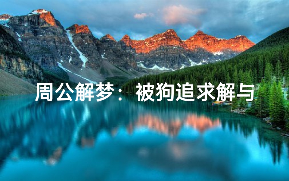 周公解梦:被狗追求解与寓意