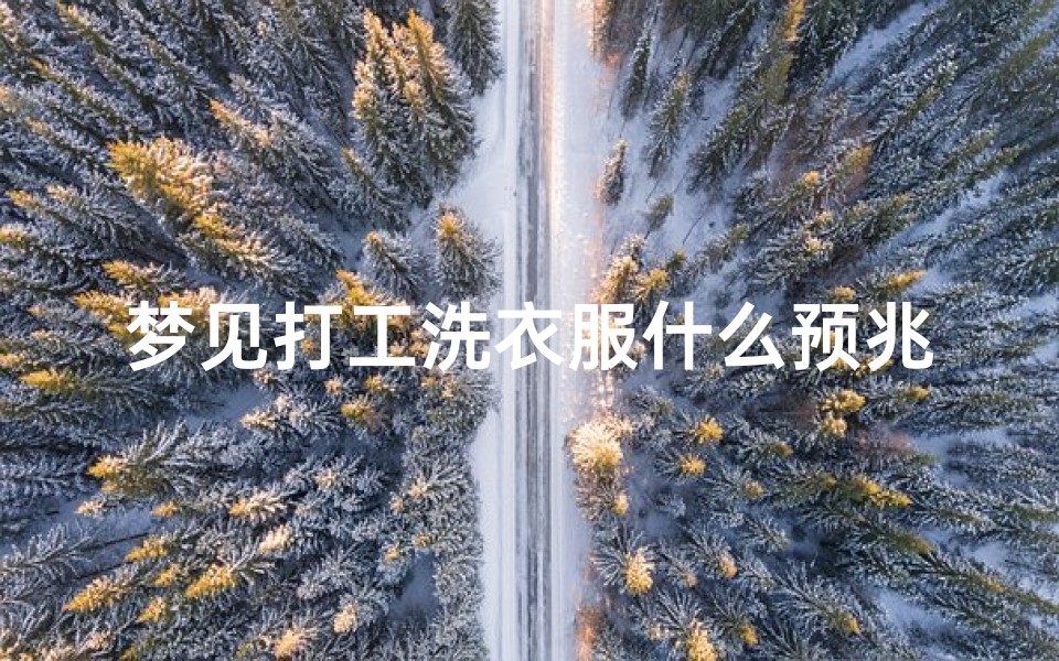 梦见打工洗衣服什么预兆-梦见打工的工作是洗碗
