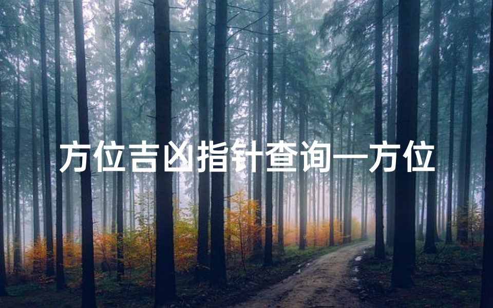 方位吉凶指针查询—方位吉凶如何看?
