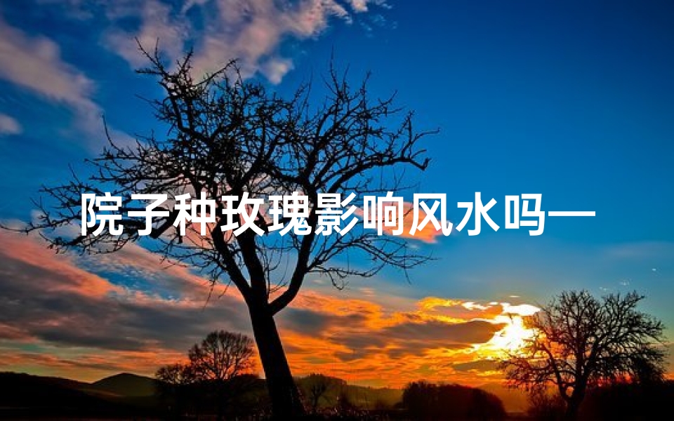 院子种玫瑰影响风水吗—院子种玫瑰真的影响风水吗?