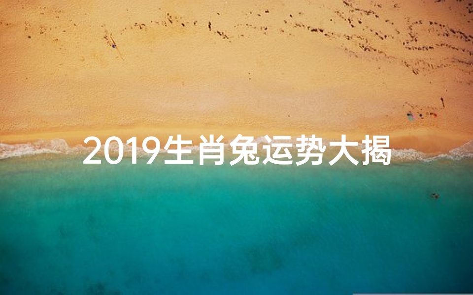 2019生肖兔运势大揭秘:财运亨通,福运连连