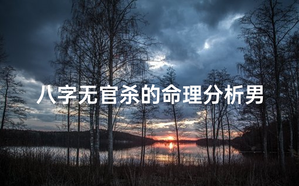 八字无官杀的命理分析男命—八字无官杀男性命理解析：命运格局揭秘