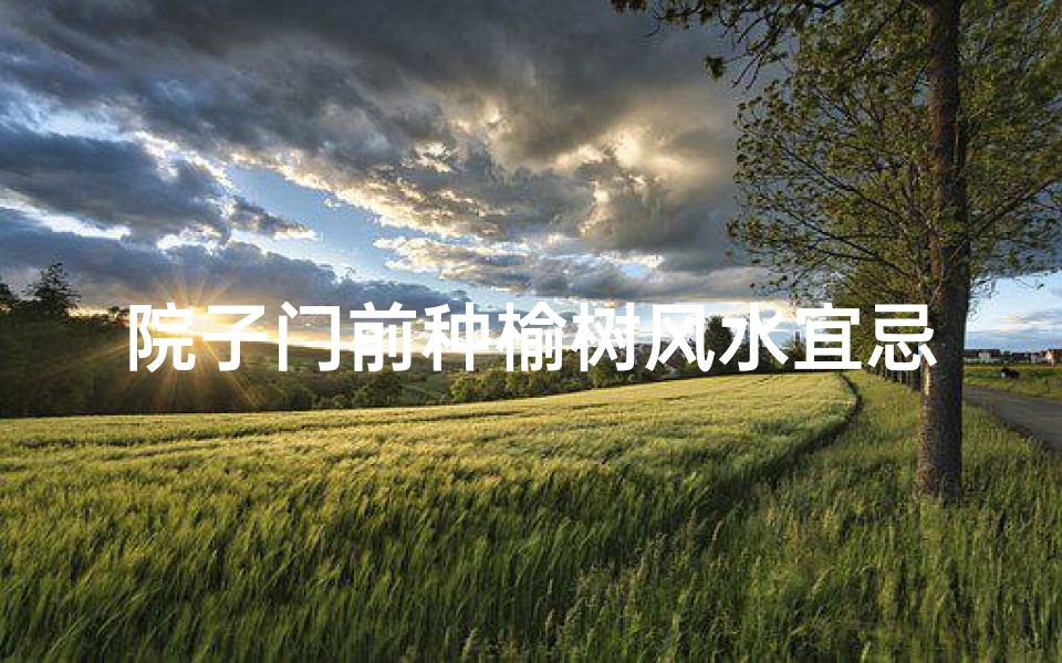 院子门前种榆树风水宜忌解析