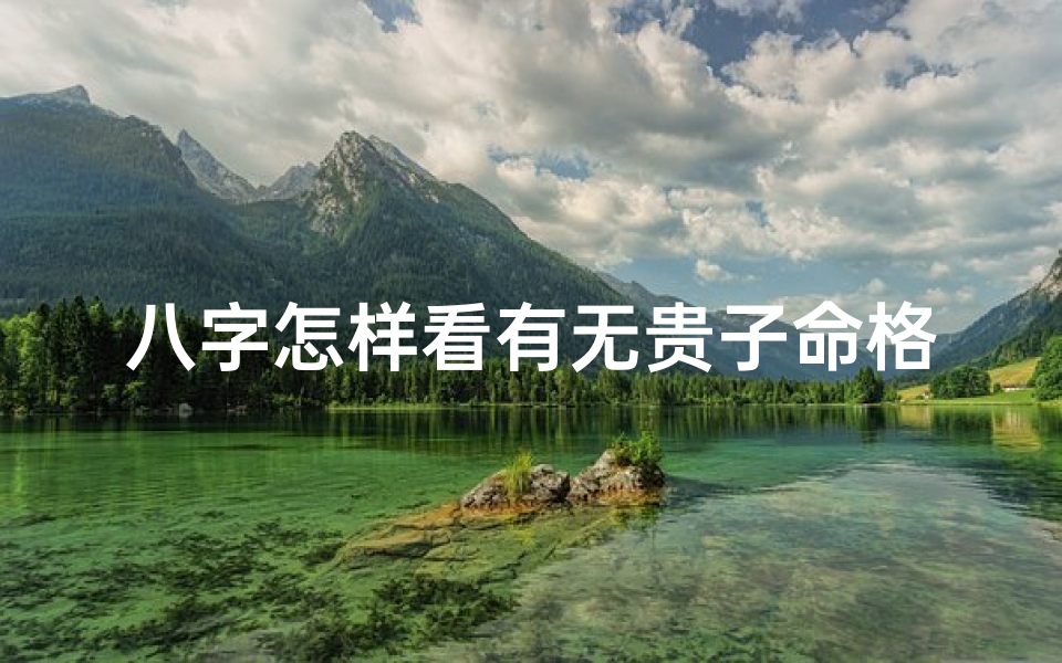 八字怎样看有无贵子命格_八字揭秘:如何看有无贵子命格?