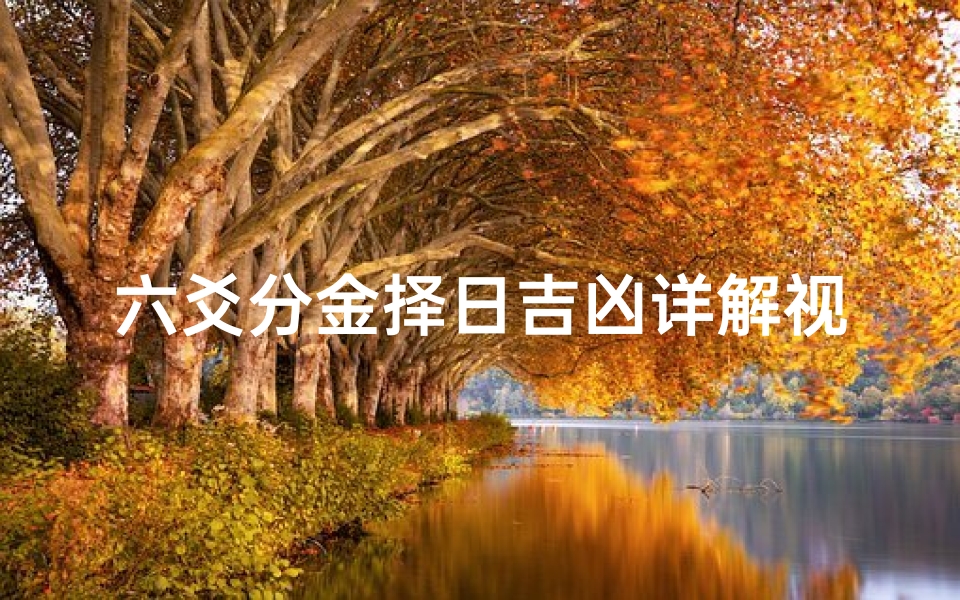 六爻分金择日吉凶详解视频—六爻分金择日吉凶详解视频下载