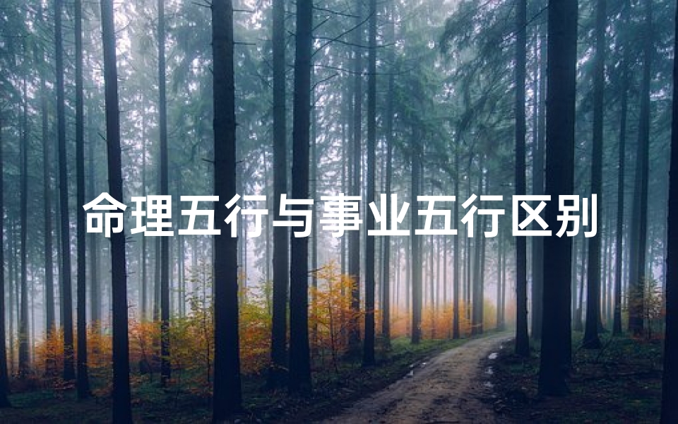 命理五行与事业五行区别(如何根据八字五行选择专业和事业的方向 )