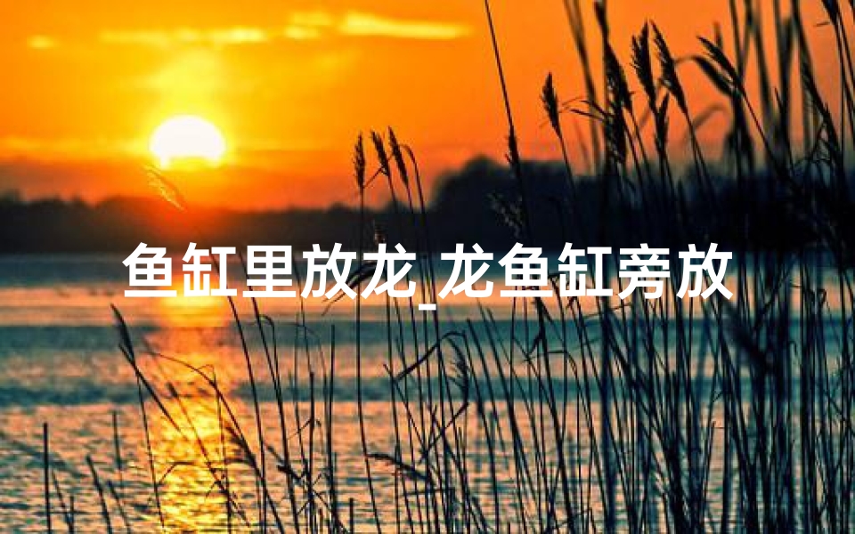 鱼缸里放龙_龙鱼缸旁放花盆，风水影响知多少？