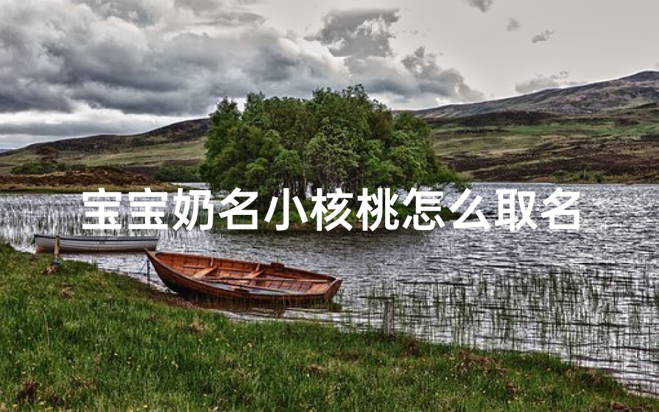宝宝奶名小核桃怎么取名