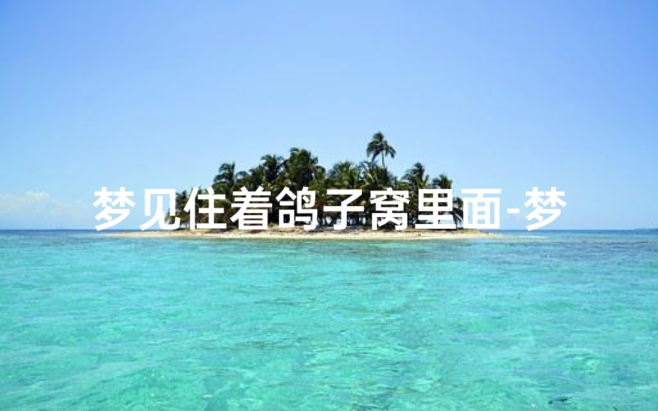 梦见住着鸽子窝里面-梦见鸽子在房间