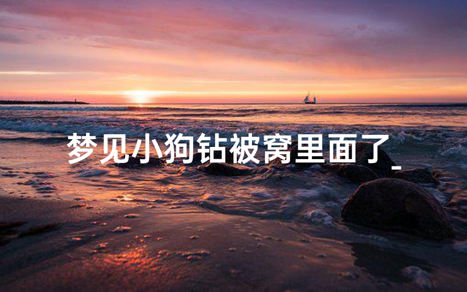梦见小狗钻被窝里面了_梦见小狗钻被窝里面了好不好