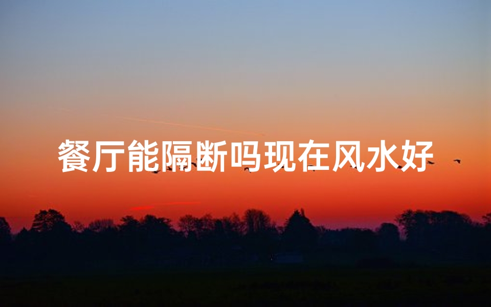 餐厅能隔断吗现在风水好吗-餐厅隔断可以放鱼缸吗
