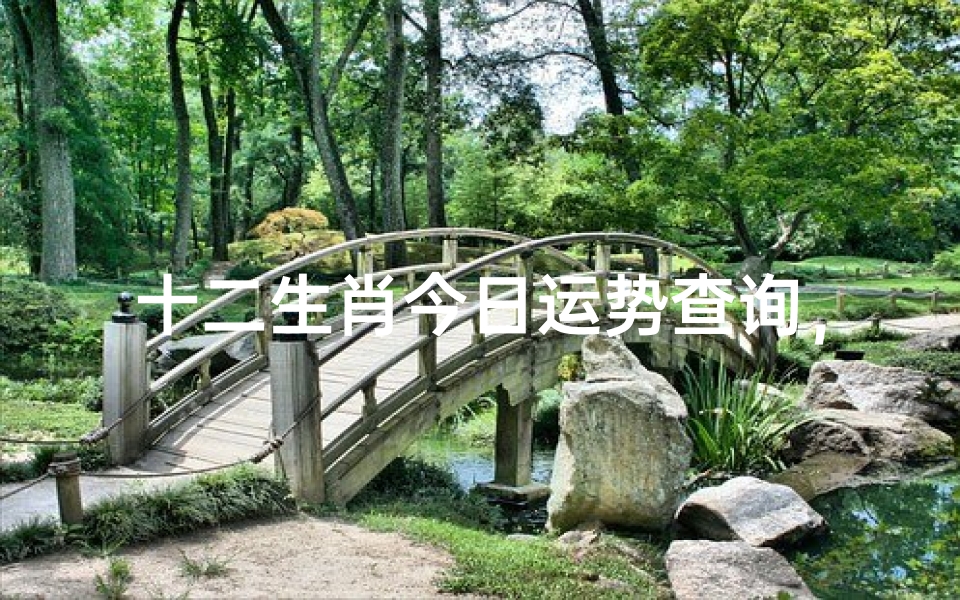 十二生肖今日运势查询,掌握每日吉凶宜忌