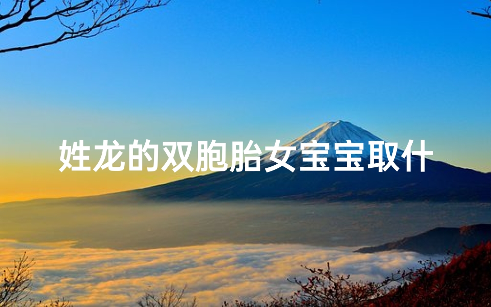 姓龙的双胞胎女宝宝取什么名字好_龙年女宝宝双福字取名大全:吉祥如意好名字精选