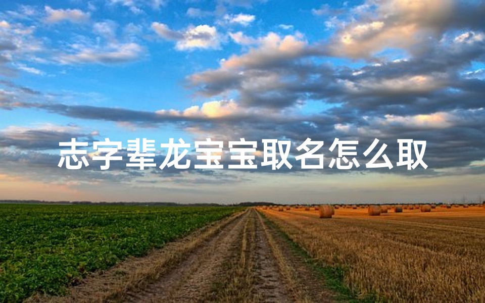 志字辈龙宝宝取名怎么取(志字辈龙宝宝取名怎么取好听)