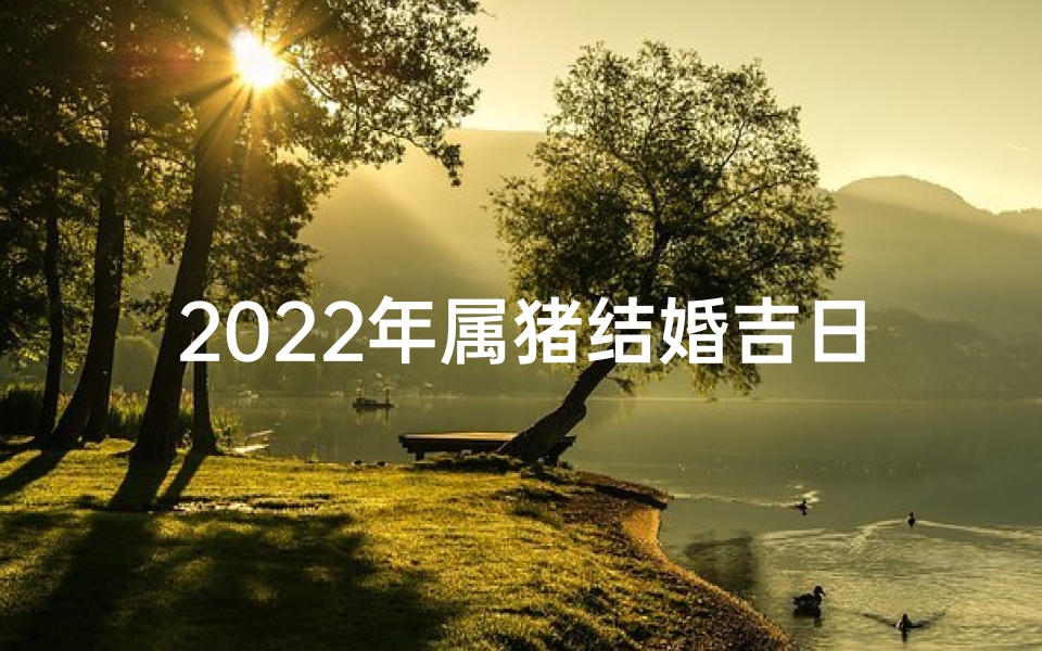 2022年属猪结婚吉日幸福婚礼定档!