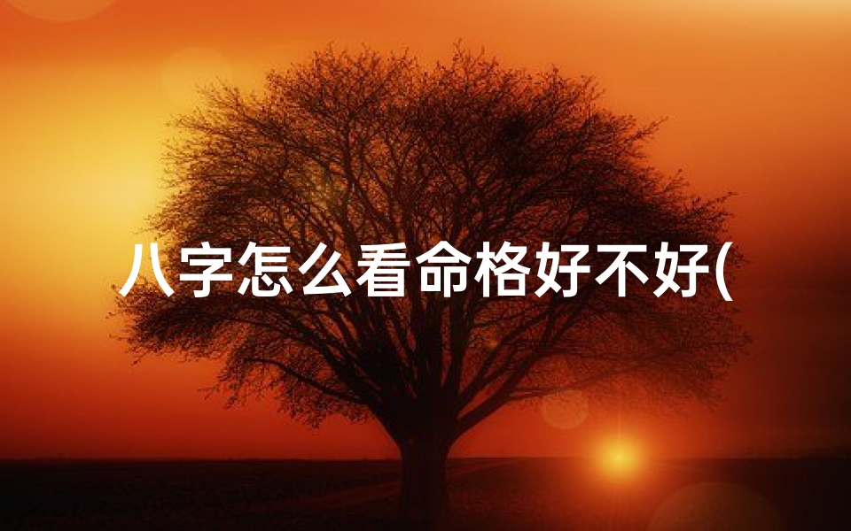 八字怎么看命格好不好(《八字命格解析:如何精准确定命格》)