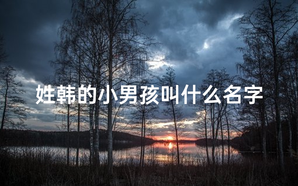 姓韩的小男孩叫什么名字好?—《韩氏萌娃:帅气宝宝取名大揭秘》