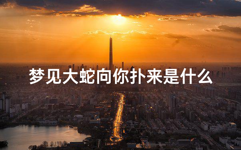 梦见大蛇向你扑来是什么梦(梦见大蛇向我扑来是什么意思)