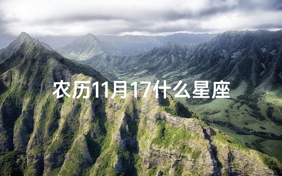 农历11月17什么星座怎么查(我是农历十一月十七日出生的是什么星座)
