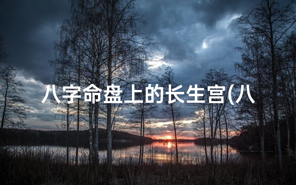 八字命盘上的长生宫(八字排盘中长生怎么解)