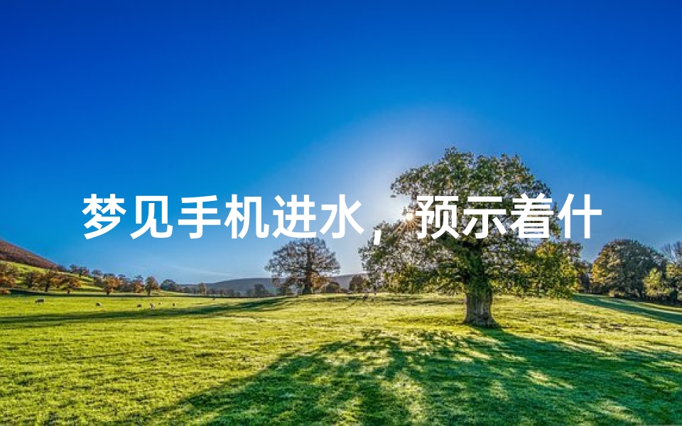 梦见手机进水,预示着什么?