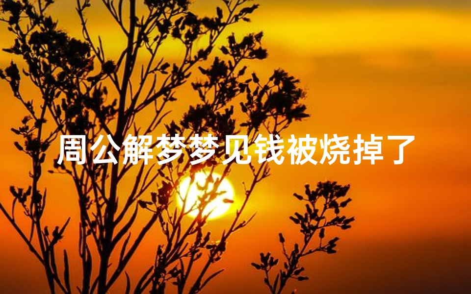 周公解梦梦见钱被烧掉了(梦见别人把钱烧了)
