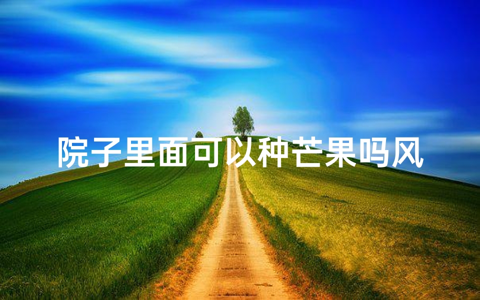 院子里面可以种芒果吗风水